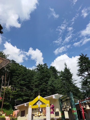 Deodar forest in background of Haat Kalika Temple